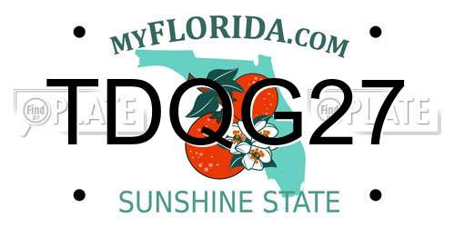 TDQG27 Florida License Plate