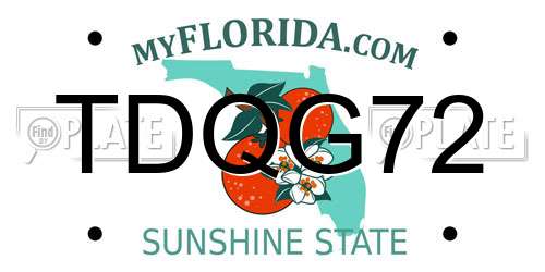 TDQG72 Florida License Plate