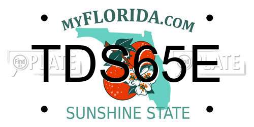 TDS65E Florida License Plate