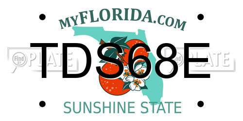 TDS68E Florida License Plate