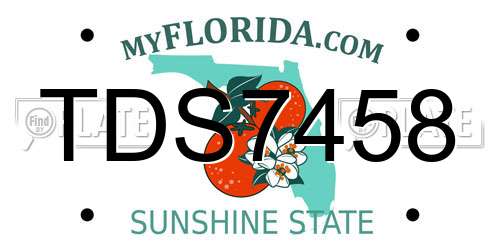 TDS7458 Florida License Plate