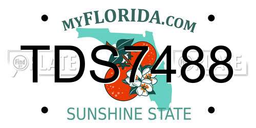 TDS7488 Florida License Plate