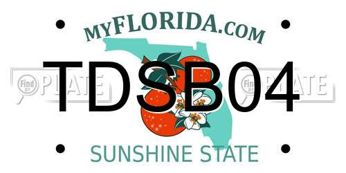 TDSB04 Florida License Plate