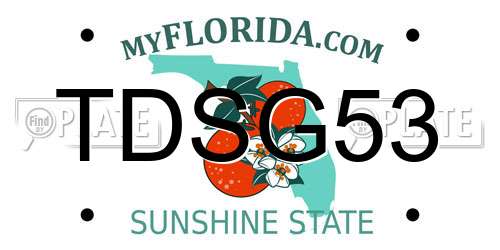 TDSG53 Florida License Plate