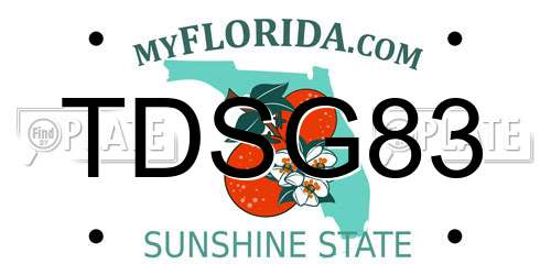 TDSG83 Florida License Plate