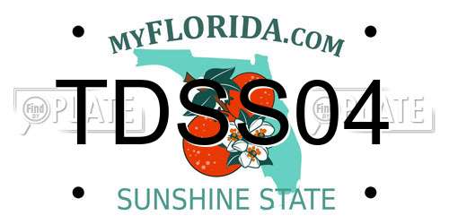 TDSS04 Florida License Plate