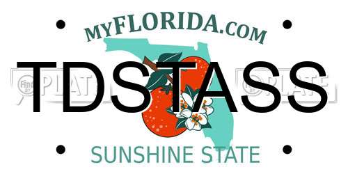 TDSTASS Florida License Plate