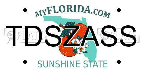 TDSZASS Florida License Plate