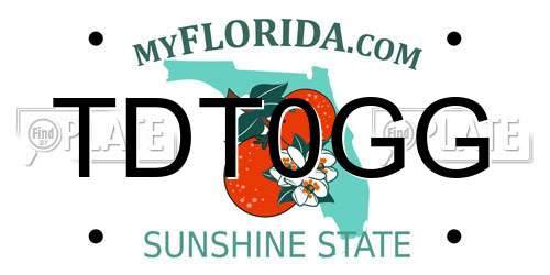 TDT0GG Florida License Plate
