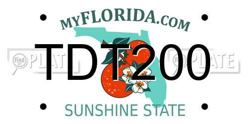 TDT200 Florida License Plate