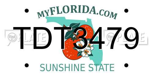 TDT3479 Florida License Plate