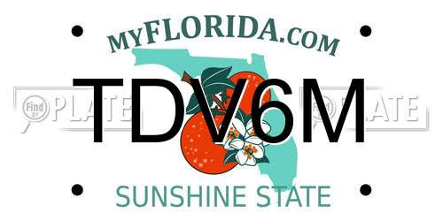 TDV6M Florida License Plate