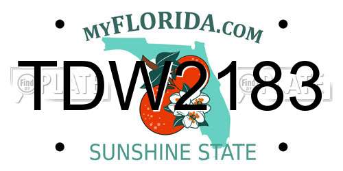TDW2183 Florida License Plate