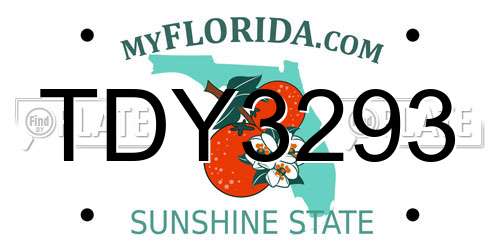 TDY3293 Florida License Plate