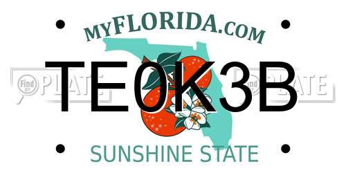TE0K3B Florida License Plate