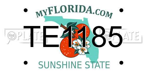 TE1185 Florida License Plate