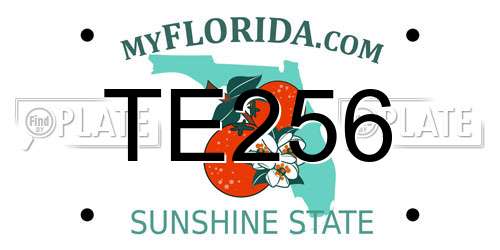 TE256 Florida License Plate