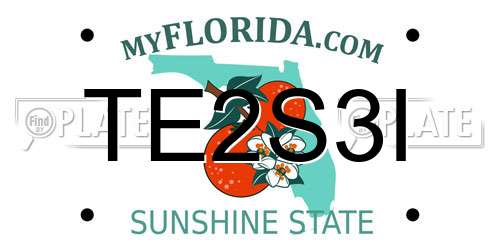 TE2S3I Florida License Plate