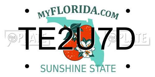 TE2U7D Florida License Plate