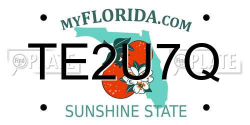 TE2U7Q Florida License Plate