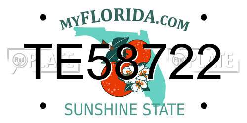 TE58722 Florida License Plate