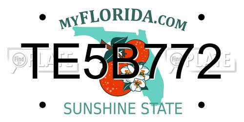 TE5B772 Florida License Plate