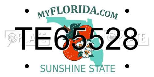 TE65528 Florida License Plate