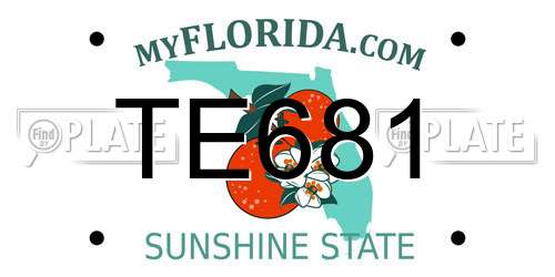 TE681 Florida License Plate