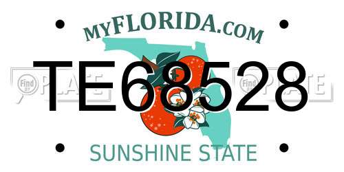 TE68528 Florida License Plate