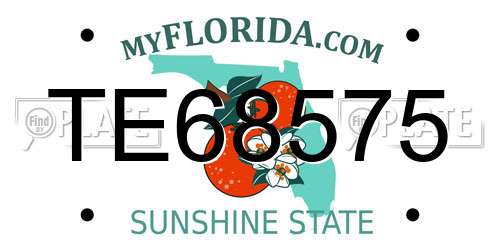 TE68575 Florida License Plate