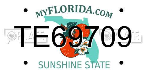 TE69709 Florida License Plate
