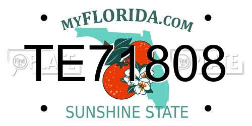 TE71808 Florida License Plate
