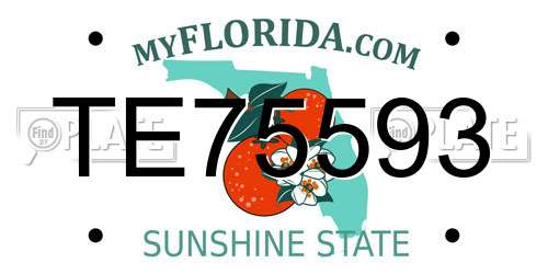 TE75593 Florida License Plate