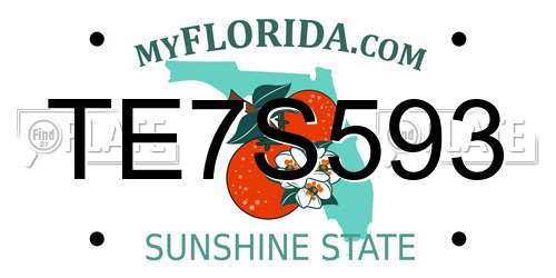 TE7S593 Florida License Plate