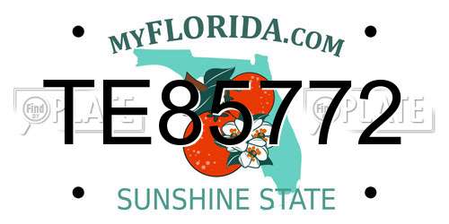 TE85772 Florida License Plate