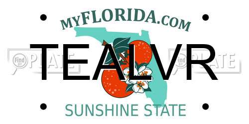 TEALVR Florida License Plate