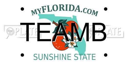 TEAMB Florida License Plate