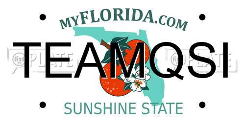 TEAMQSI Florida License Plate
