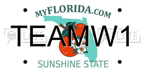 TEAMW1 Florida License Plate