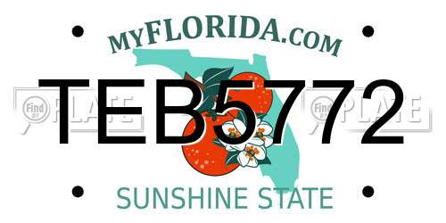 TEB5772 Florida License Plate