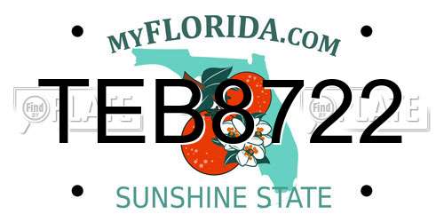 TEB8722 Florida License Plate