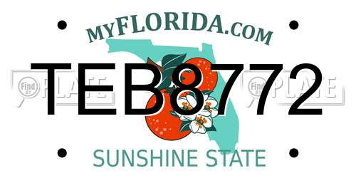 TEB8772 Florida License Plate