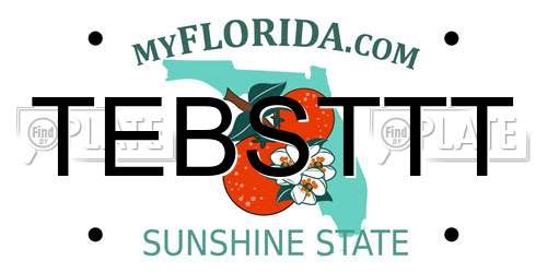 TEBSTTT Florida License Plate