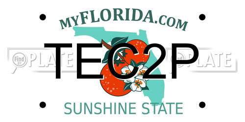TEC2P Florida License Plate