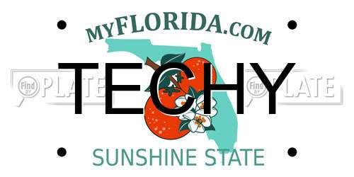 TECHY Florida License Plate