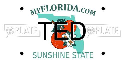 TED Florida License Plate
