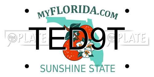 TED9T Florida License Plate