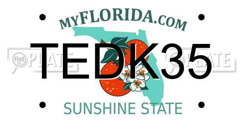 TEDK35 Florida License Plate