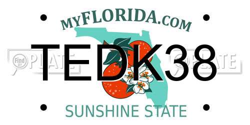 TEDK38 Florida License Plate