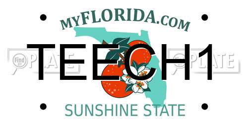 TEECH1 Florida License Plate